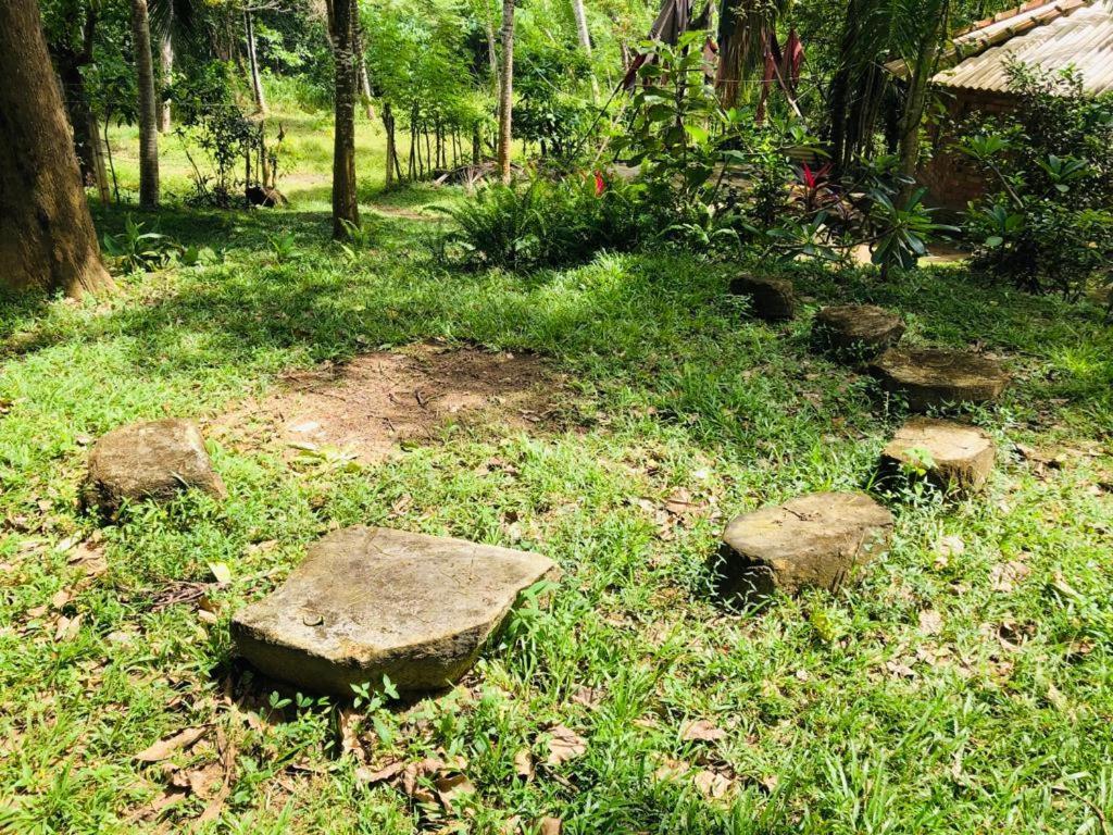 Hidden Well Hiriketiya Hostel ดิคเวลลา ภายนอก รูปภาพ