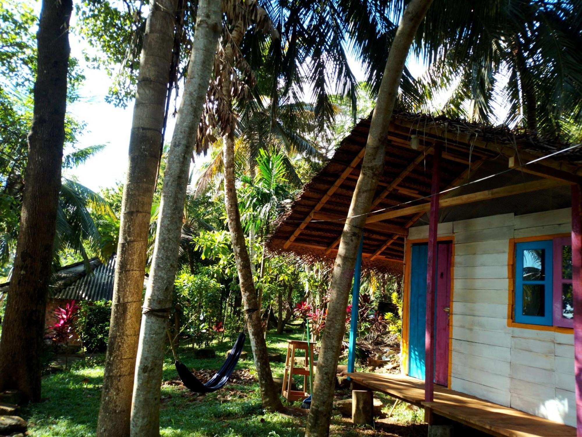 Hidden Well Hiriketiya Hostel ดิคเวลลา ภายนอก รูปภาพ