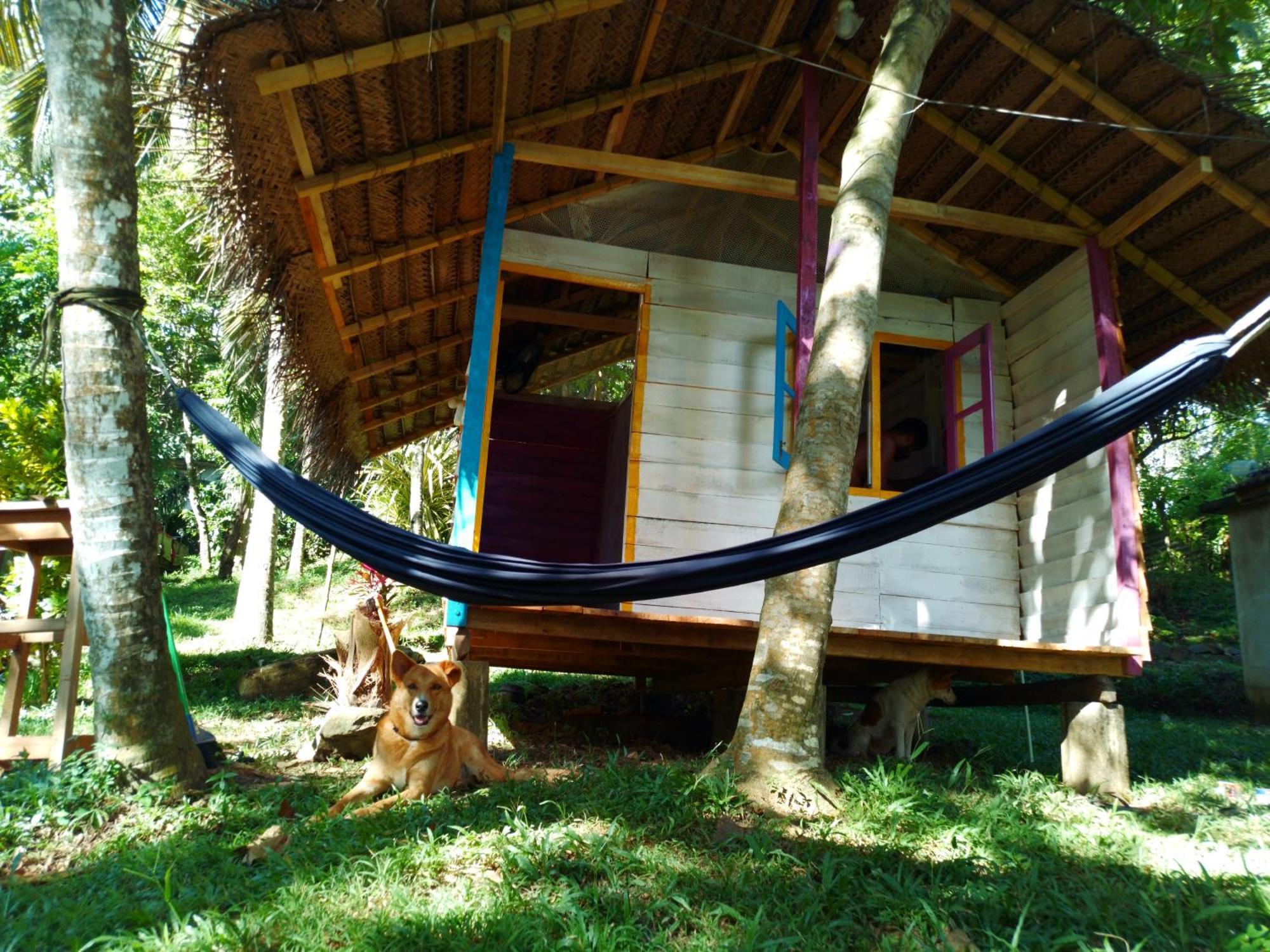 Hidden Well Hiriketiya Hostel ดิคเวลลา ภายนอก รูปภาพ