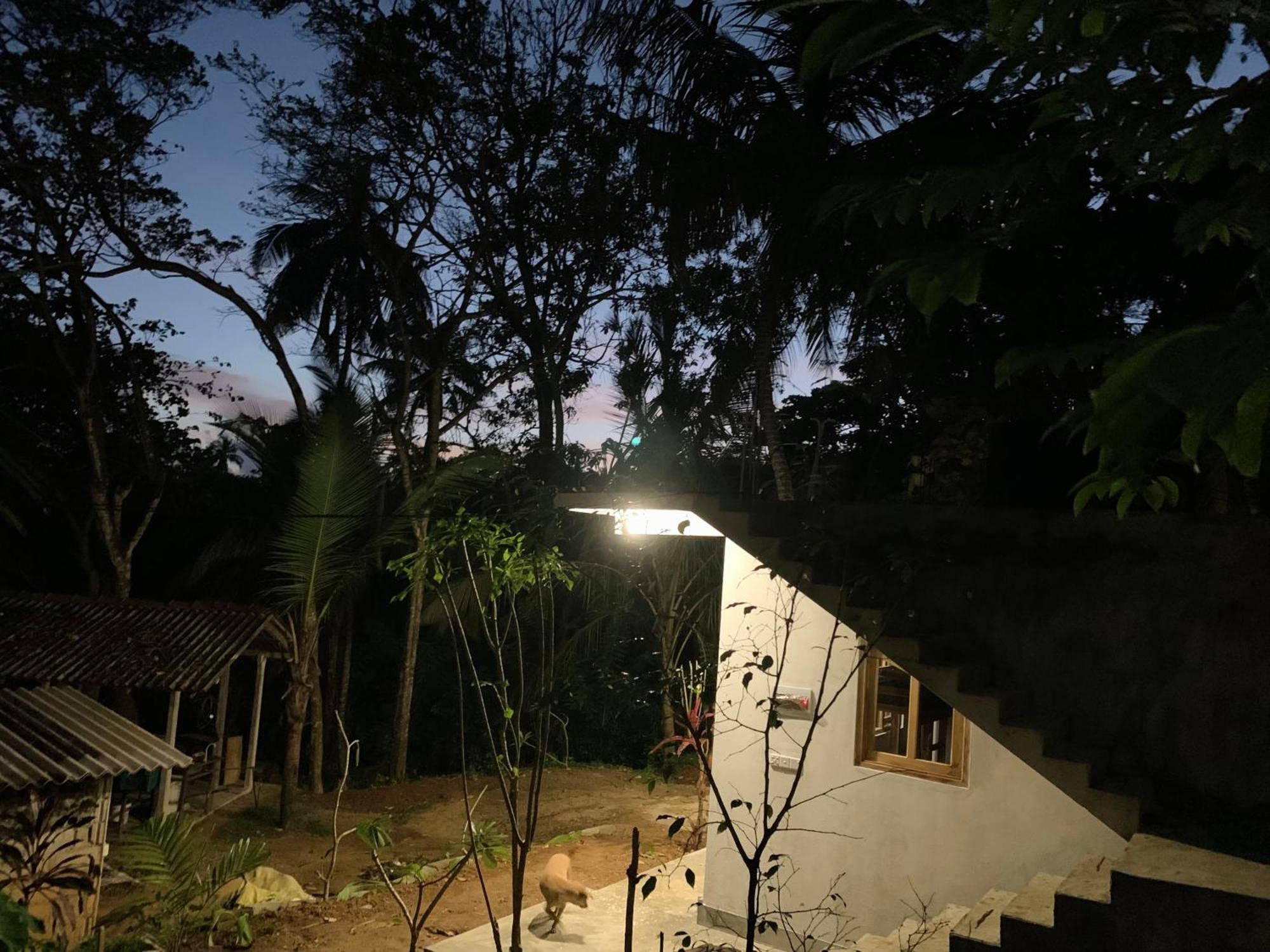 Hidden Well Hiriketiya Hostel ดิคเวลลา ภายนอก รูปภาพ