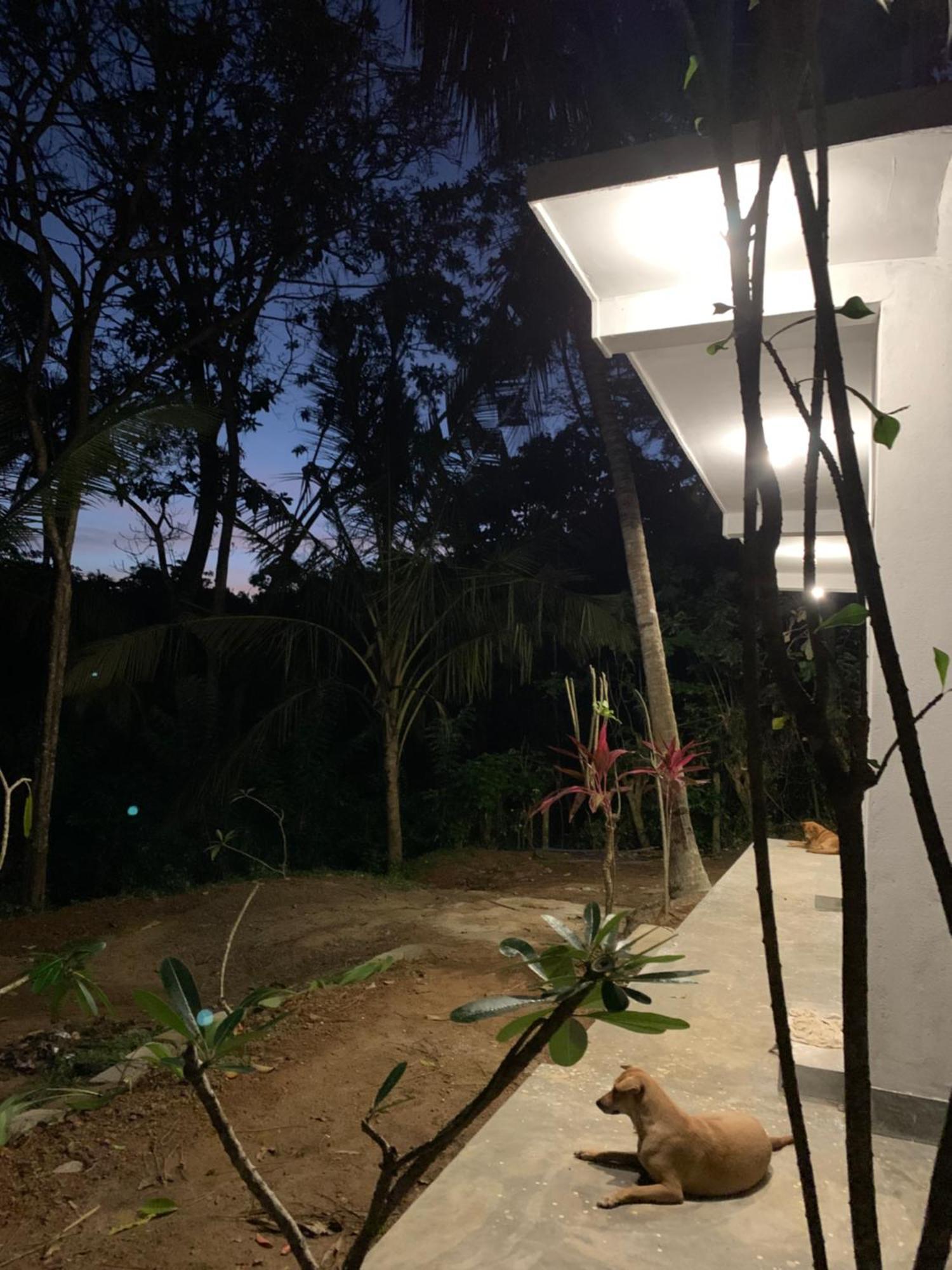 Hidden Well Hiriketiya Hostel ดิคเวลลา ภายนอก รูปภาพ