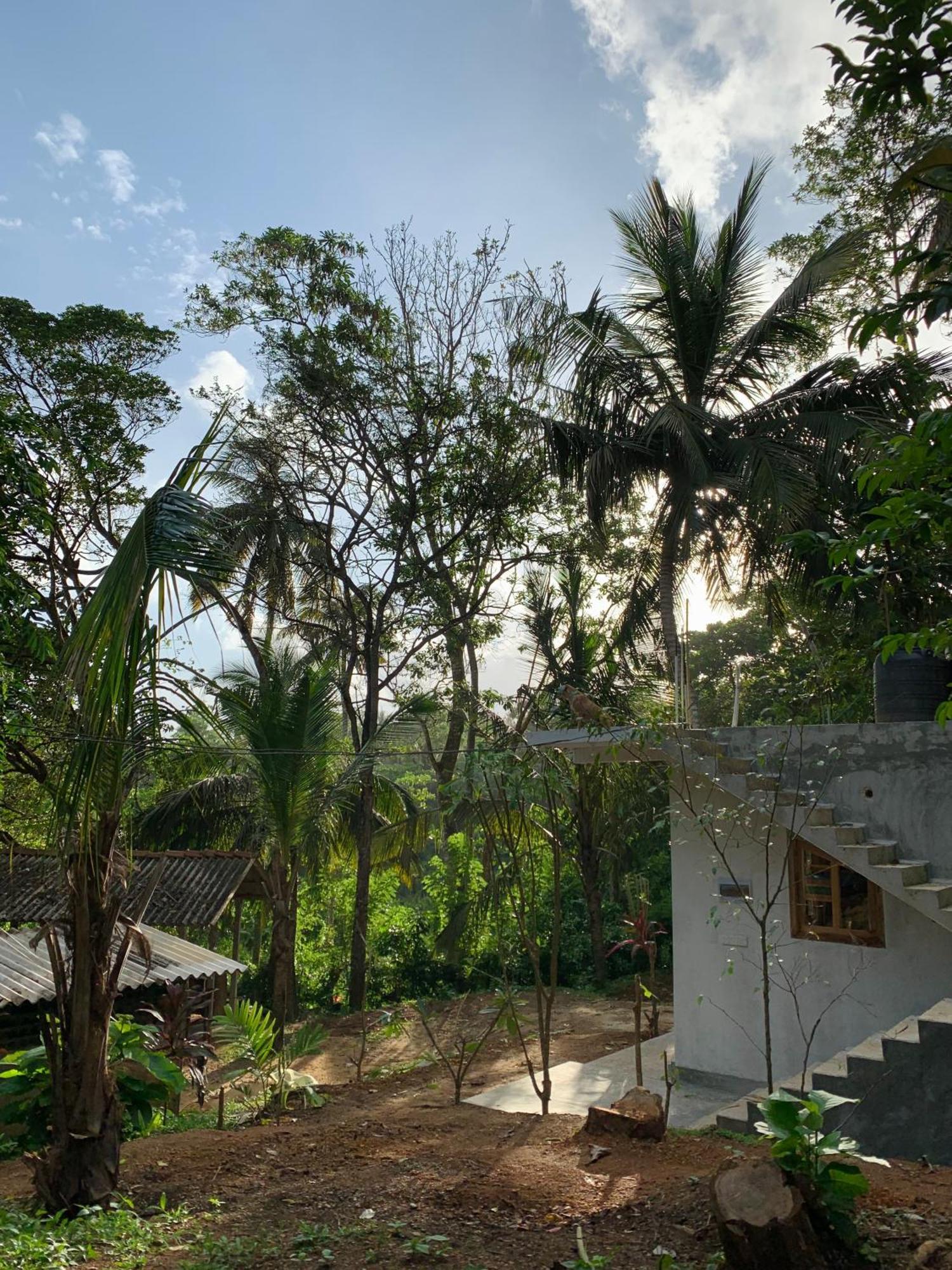 Hidden Well Hiriketiya Hostel ดิคเวลลา ภายนอก รูปภาพ