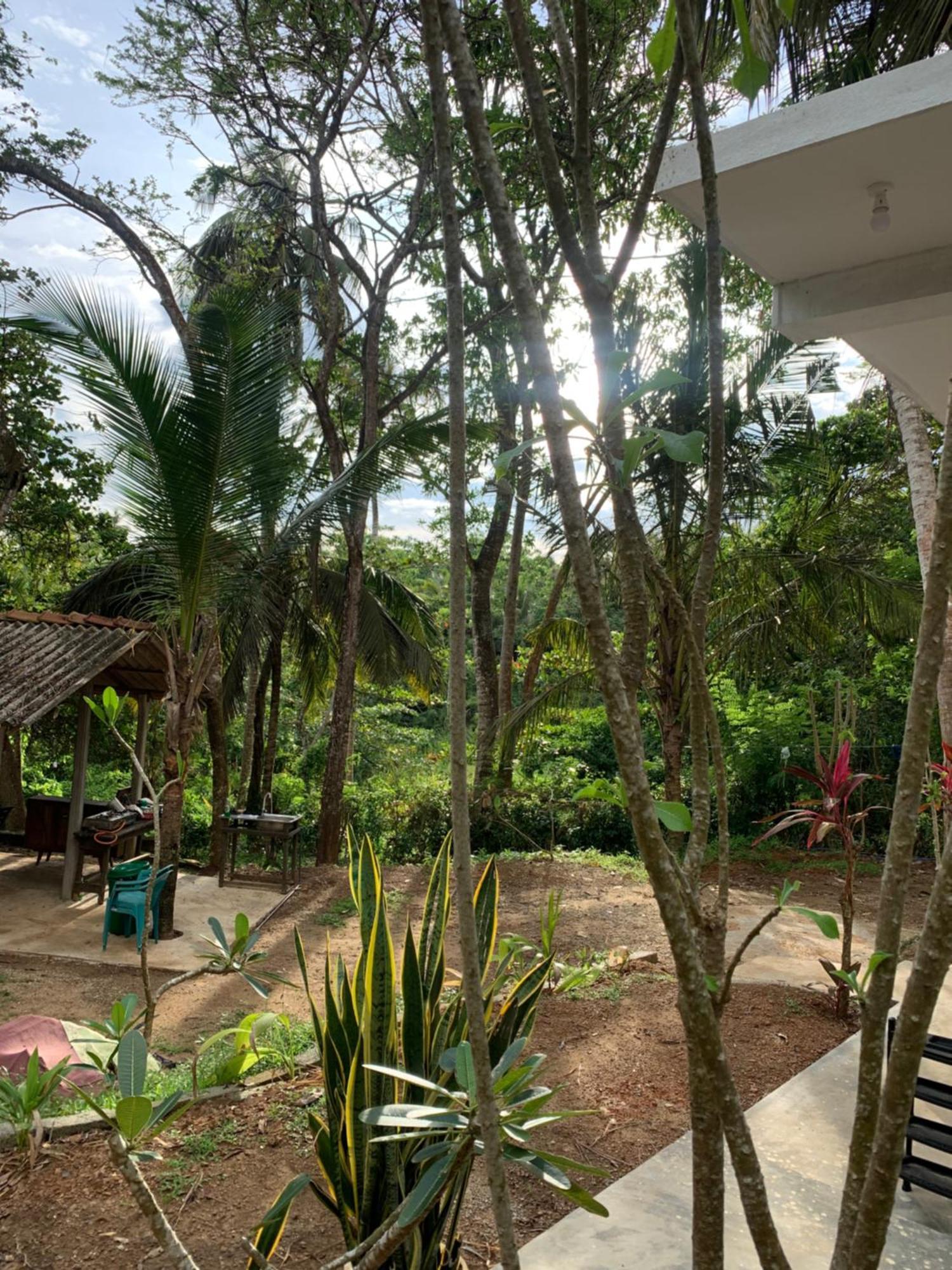 Hidden Well Hiriketiya Hostel ดิคเวลลา ภายนอก รูปภาพ