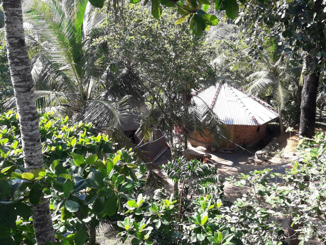 Hidden Well Hiriketiya Hostel ดิคเวลลา ภายนอก รูปภาพ