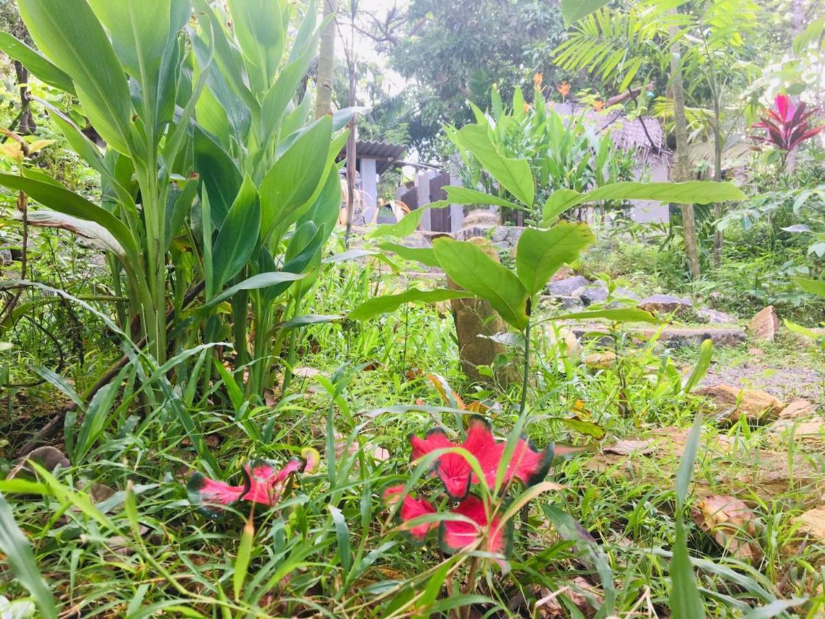 Hidden Well Hiriketiya Hostel ดิคเวลลา ภายนอก รูปภาพ