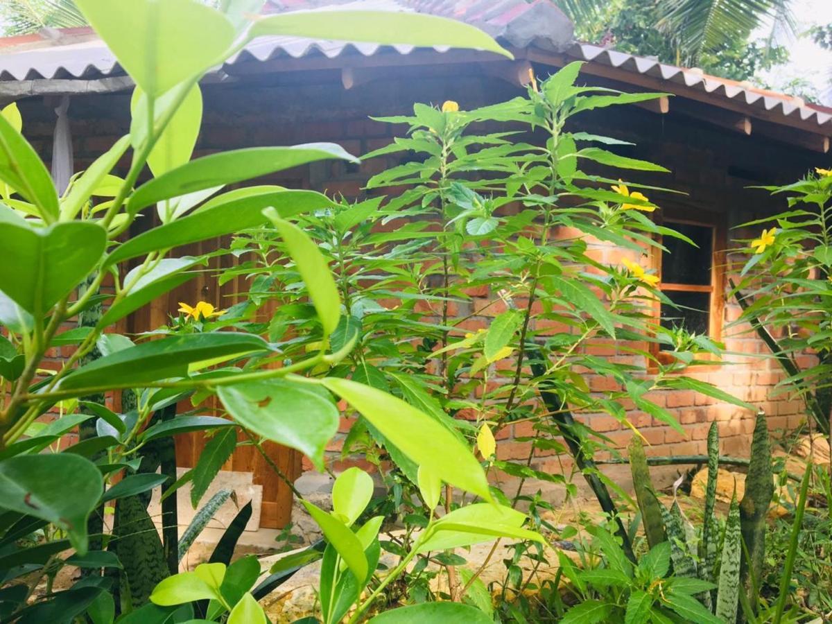 Hidden Well Hiriketiya Hostel ดิคเวลลา ภายนอก รูปภาพ