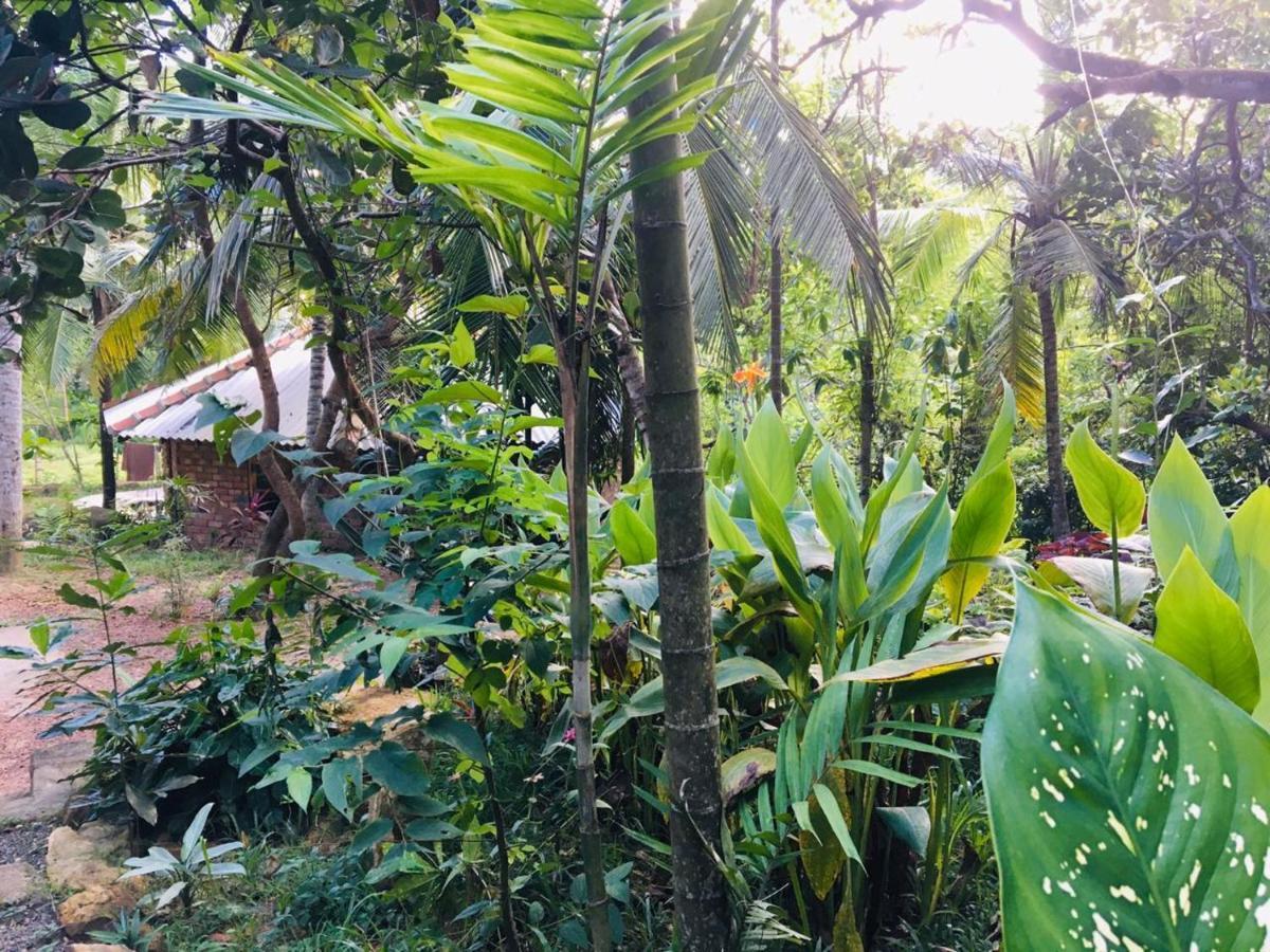 Hidden Well Hiriketiya Hostel ดิคเวลลา ภายนอก รูปภาพ